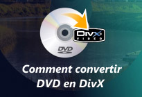 Converti DVD en Divx